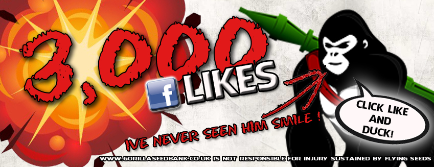 facebook 3000 likes jpg