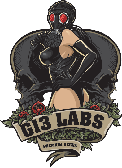 g13-labs-logo