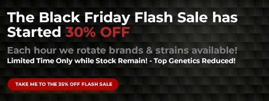 The Black Friday Flash Sales Has Started 30 Off Gorilla Seeds