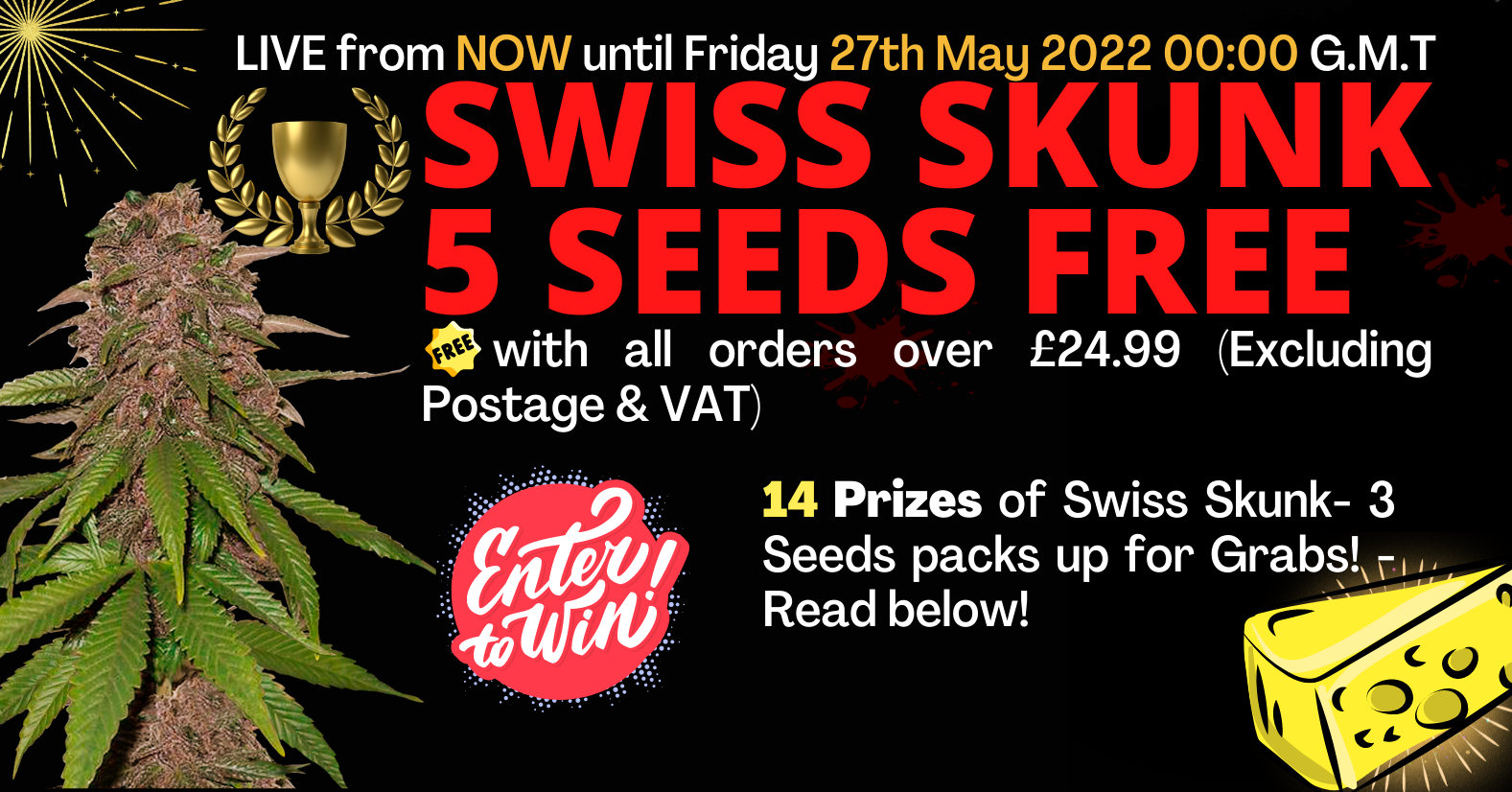 Win Swiss SKunk 5 Seeds