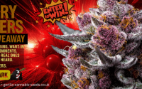 win Barneys Farm Cherry Poppers Feminized Seeds - 6 Prizes