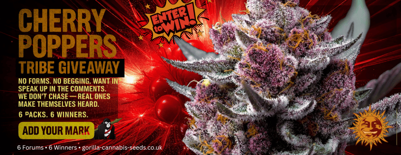 win Barneys Farm Cherry Poppers Feminized Seeds - 6 Prizes