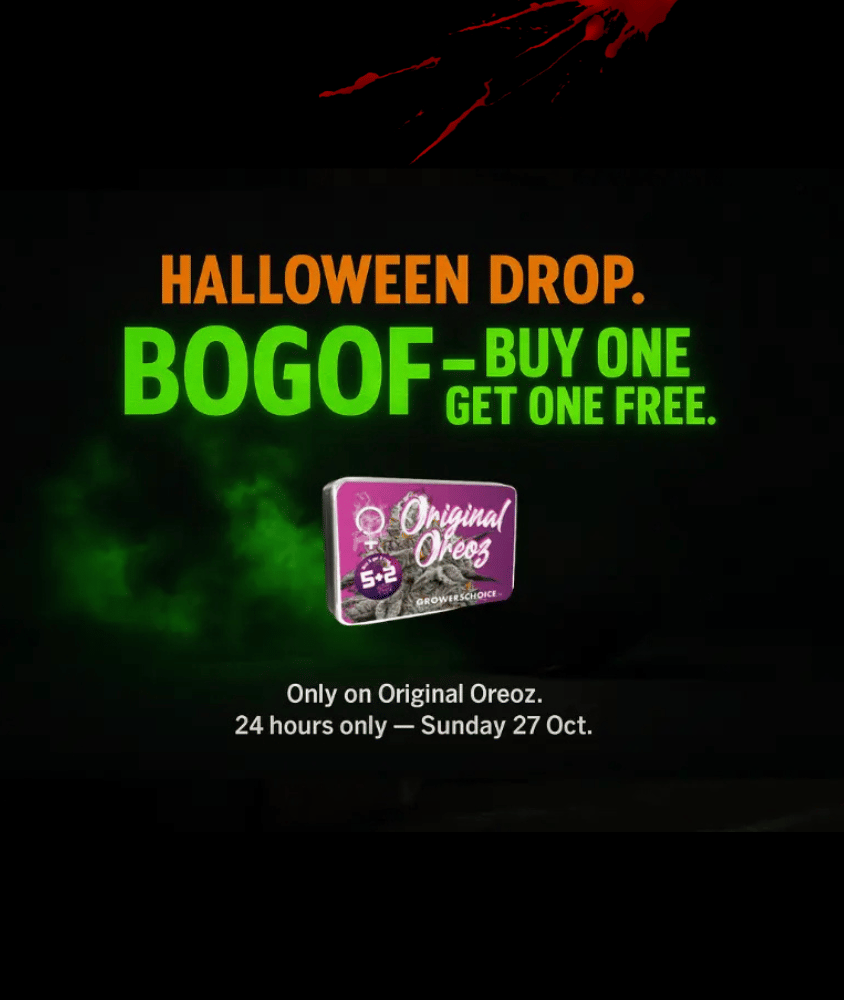 Oreoz Halloween Drop